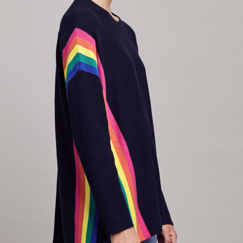 Alternative view of Alex Jumper - Navy/Rainbow